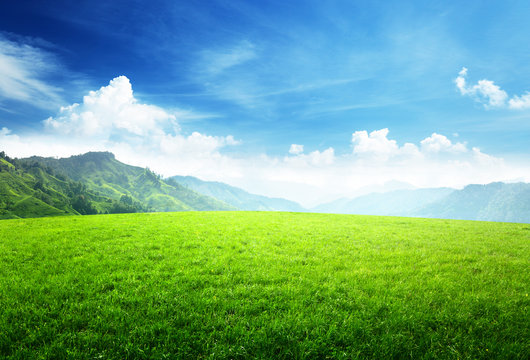 Field Of Grass In Mountain