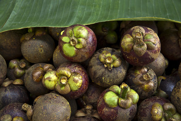 Mangosteen with Banana leaf