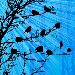 Fotobehang Vogels in het bos Landschap met vogels op boom en zonnestraal