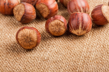 Filberts on a burlap background. Close-up shot.