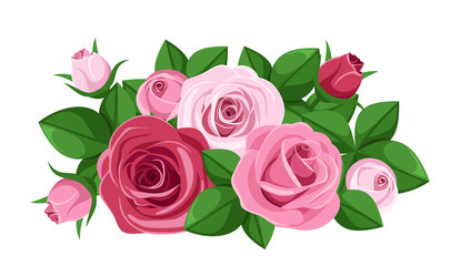 Red and pink roses, rosebuds and leaves. Vector illustration.