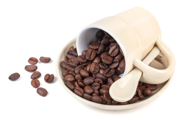 Coffe cup