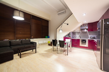 Inside modern loft