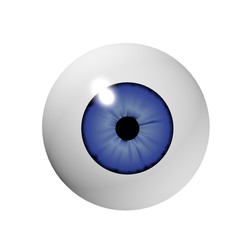 eyeball