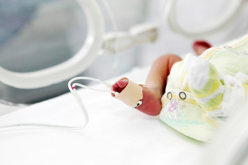 newborn baby in hospital - obrazy, fototapety, plakaty