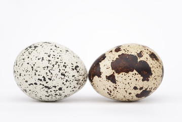 Two quail eggs on a white background