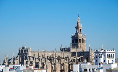 LA CATEDRAL DE SEVILLA VISTA DESDE, LA TORRE DEL ORO