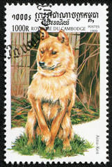 stamp printed by Cambodia, shows a dog