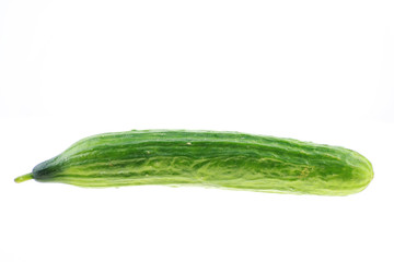 Salatgurke