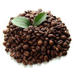 Fototapeta premium Roasted coffee beans with green leaves freshness and natural flavor aromatic beverage ingredient isolated on white background