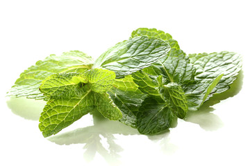 Mint isolated on white