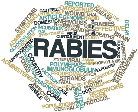 Word cloud for Rabies