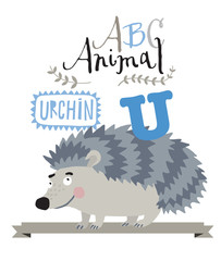 ABC animals: U is for urchin. Vector Graphics