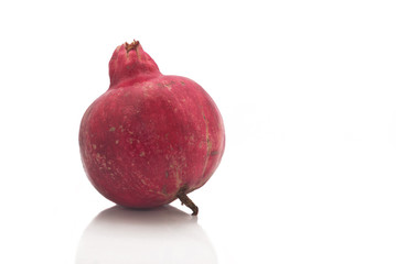 pomegranate fruit