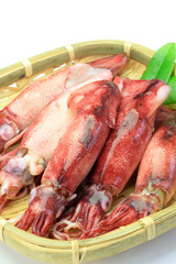 cuttlefish which I boiled