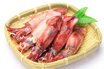 cuttlefish which I boiled