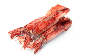 cuttlefish which I boiled