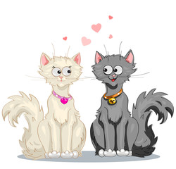 White cat and a black cat