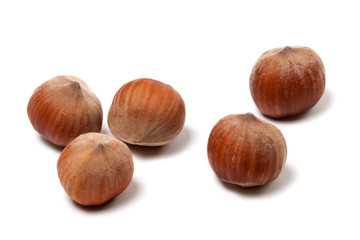 Brown hazelnuts on white background