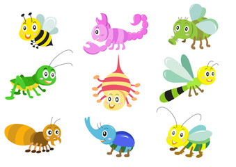 insects