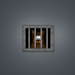 cat in prison