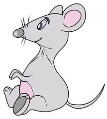 the grey mouse