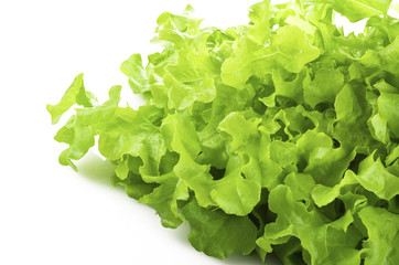 green leaves lettuce  on the white background