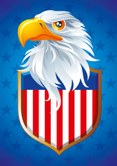 The national symbol of USA - 48772168