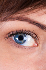 Fototapeta premium beautiful eye.