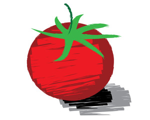 Sketch of tomato vector