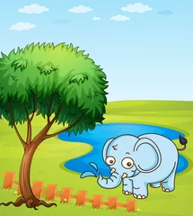 Store enrouleur tamisant Zoo Un éléphant jouant dans l& 39 eau