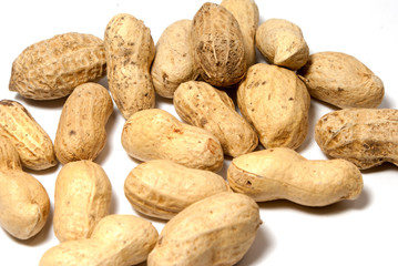 Groundnut