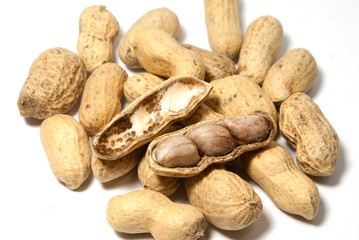 Obraz premium Groundnut