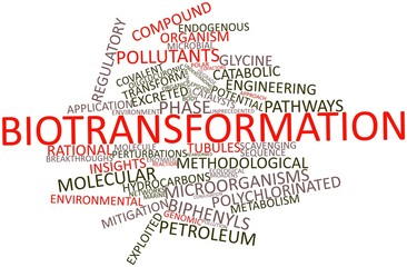 Word cloud for Biotransformation