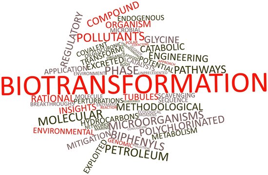 Word cloud for Biotransformation