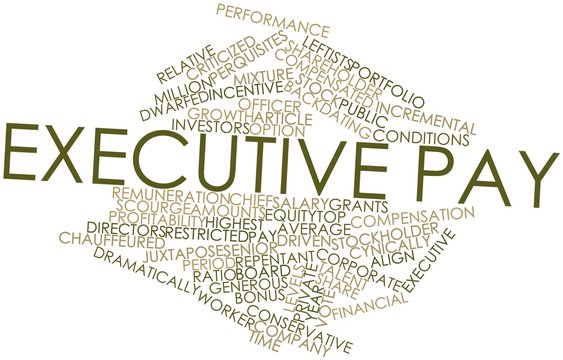Word cloud for Executive pay
