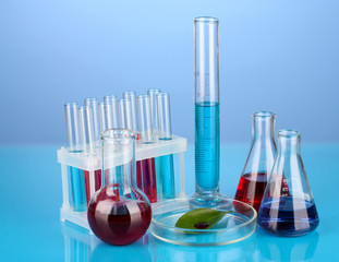 Test-tubes and green leaf tested in petri dish,