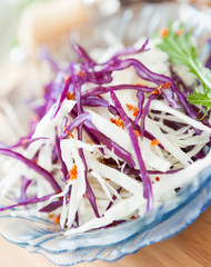 salad of raw red and white cabbage