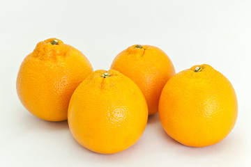 Group of Oranges