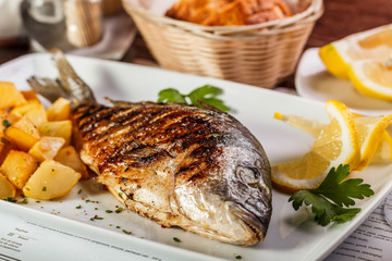 Dorado fish