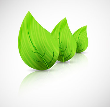 Green leaves