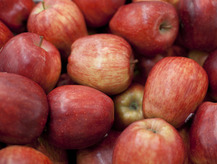 pommes bio