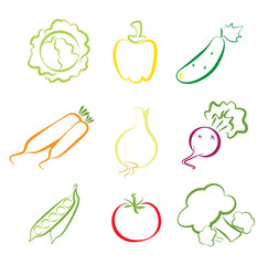 Vegetables assorted isolated on white