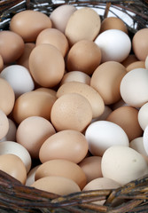 Chicken eggs