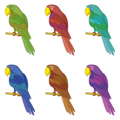 Parrots on a pole, set