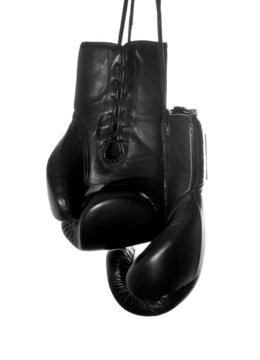 Isolated Boxing Gloves