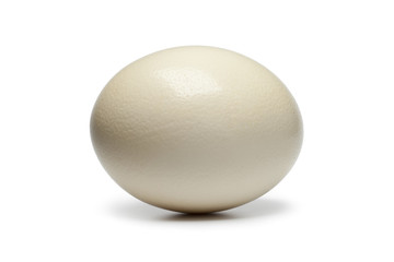 Ostrich egg