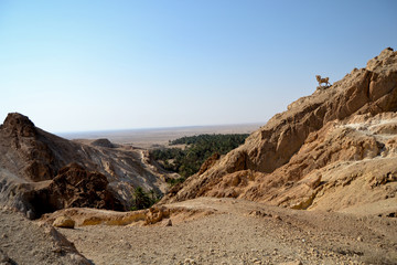 Spectacular Canyon Mides - Tunisia, Africa