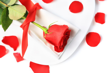 Closeup of red rose on white plate and petals near it