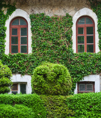 Ecological buildings facade and park. Crimea